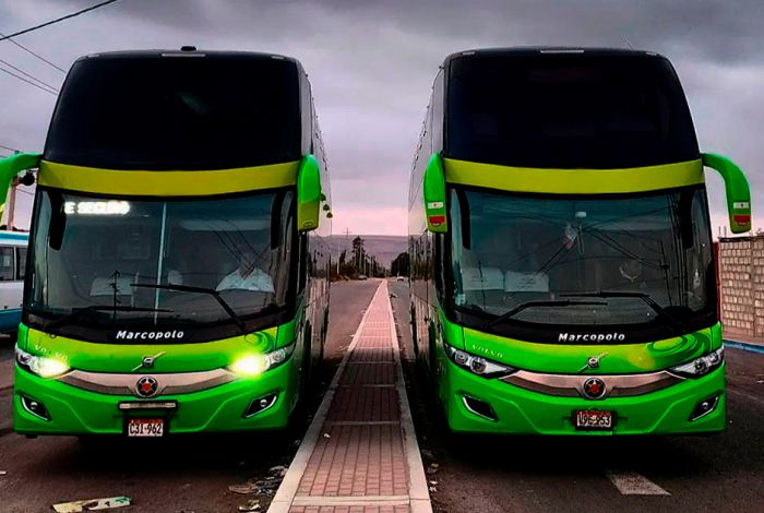 Bus Directo Arequipa - Puno (Noche)